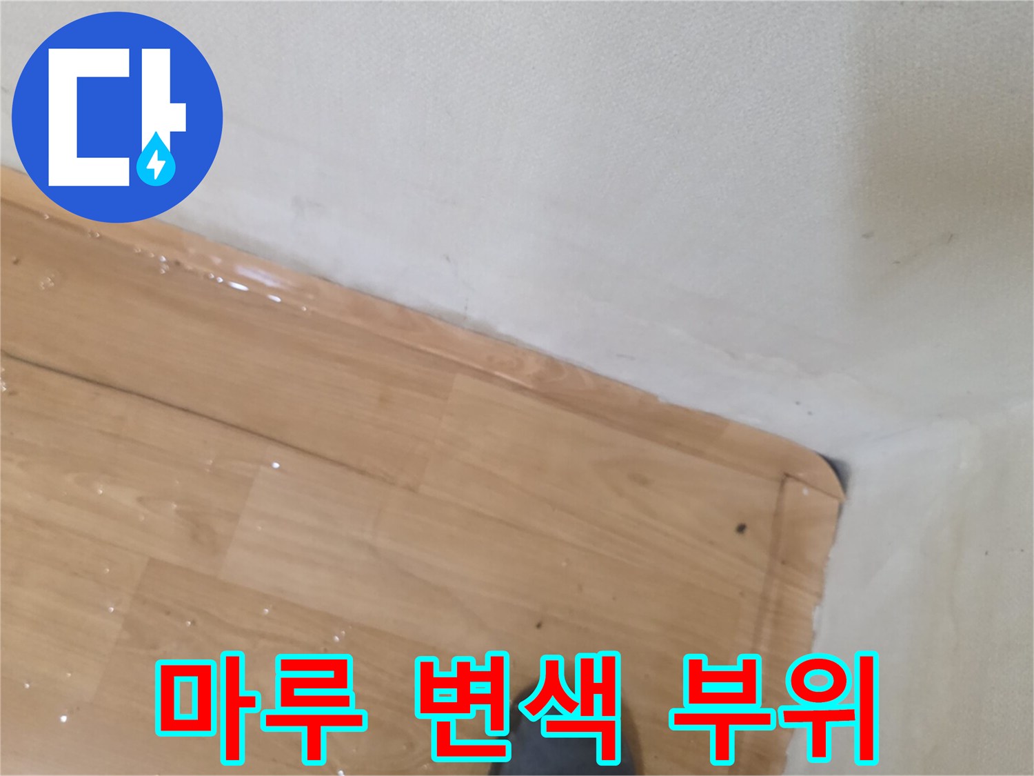 송파구-거실-마루-바동-변색-및-습기-상태