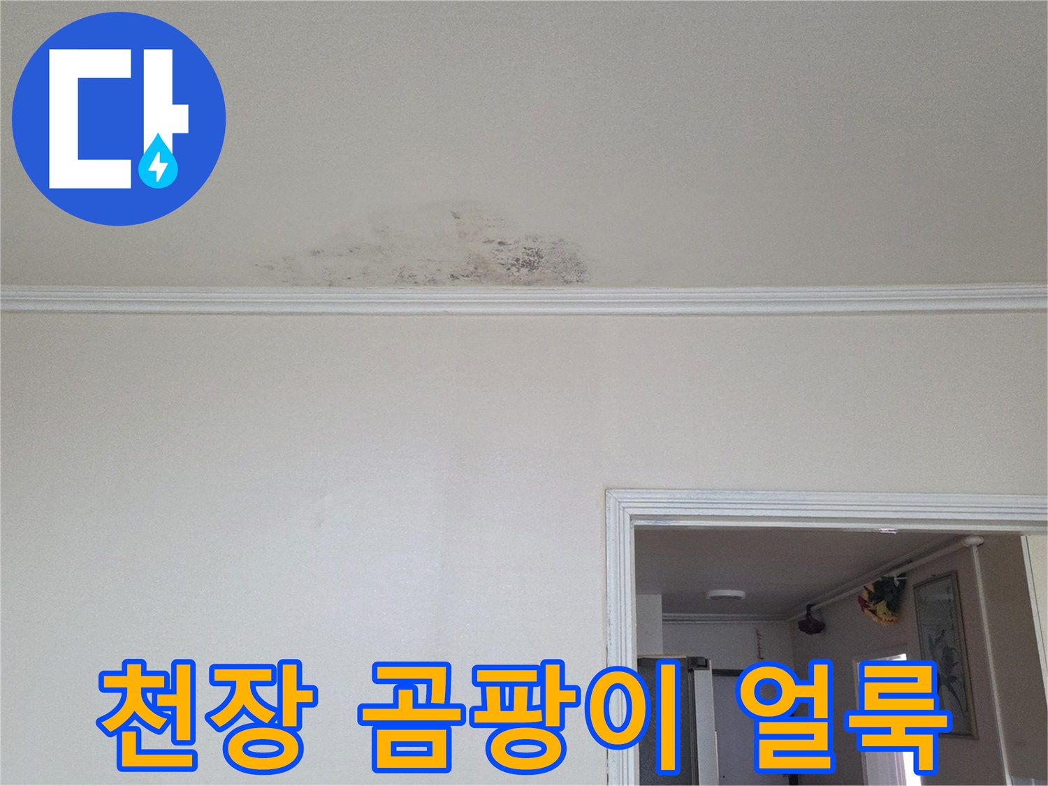 동두로 아파트 천장 부근에 발생한 곰팡이와 물자국 흔적
