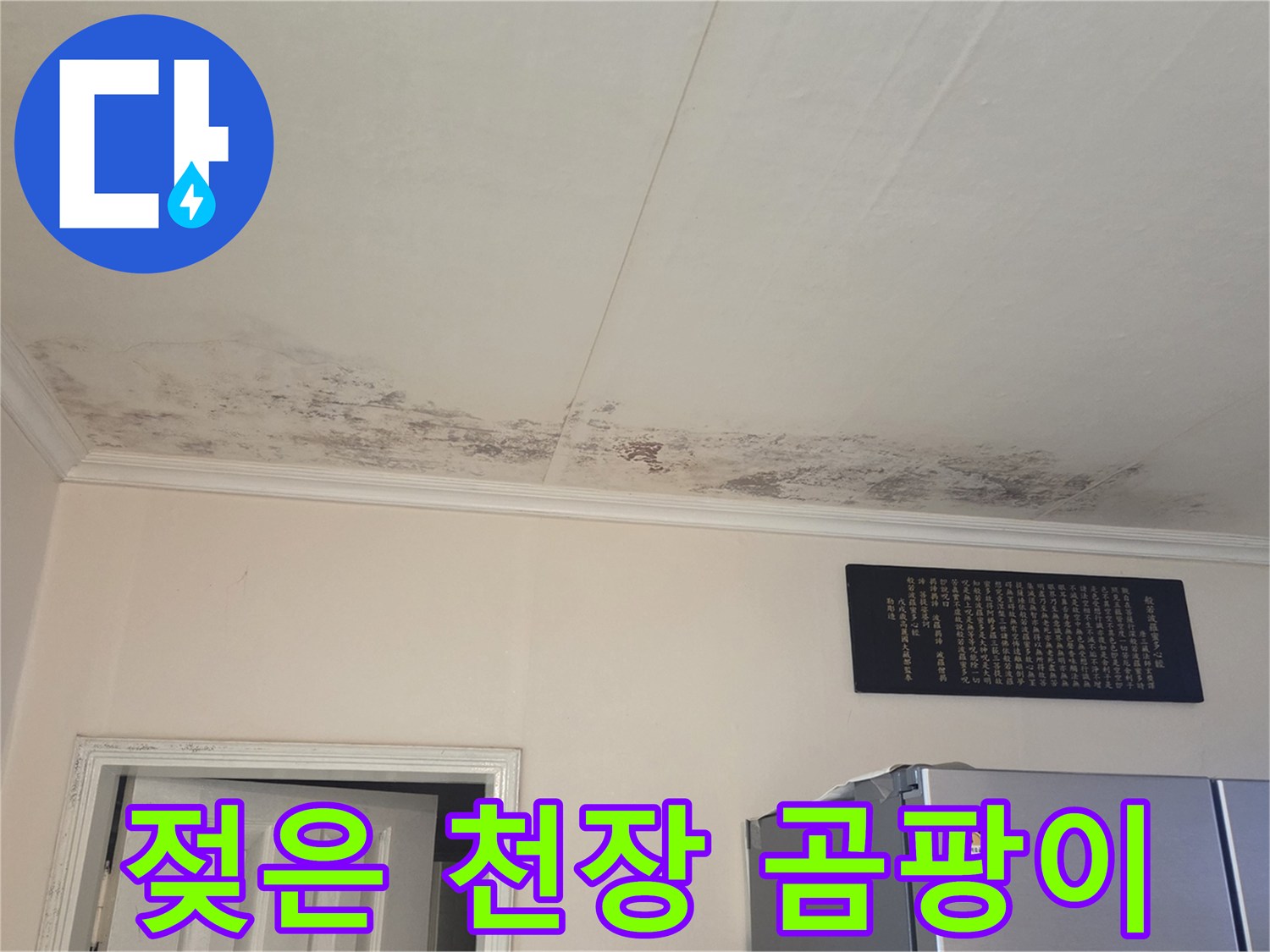 천장-마감재-주변의-심한-습기와-곰팡이-흔적