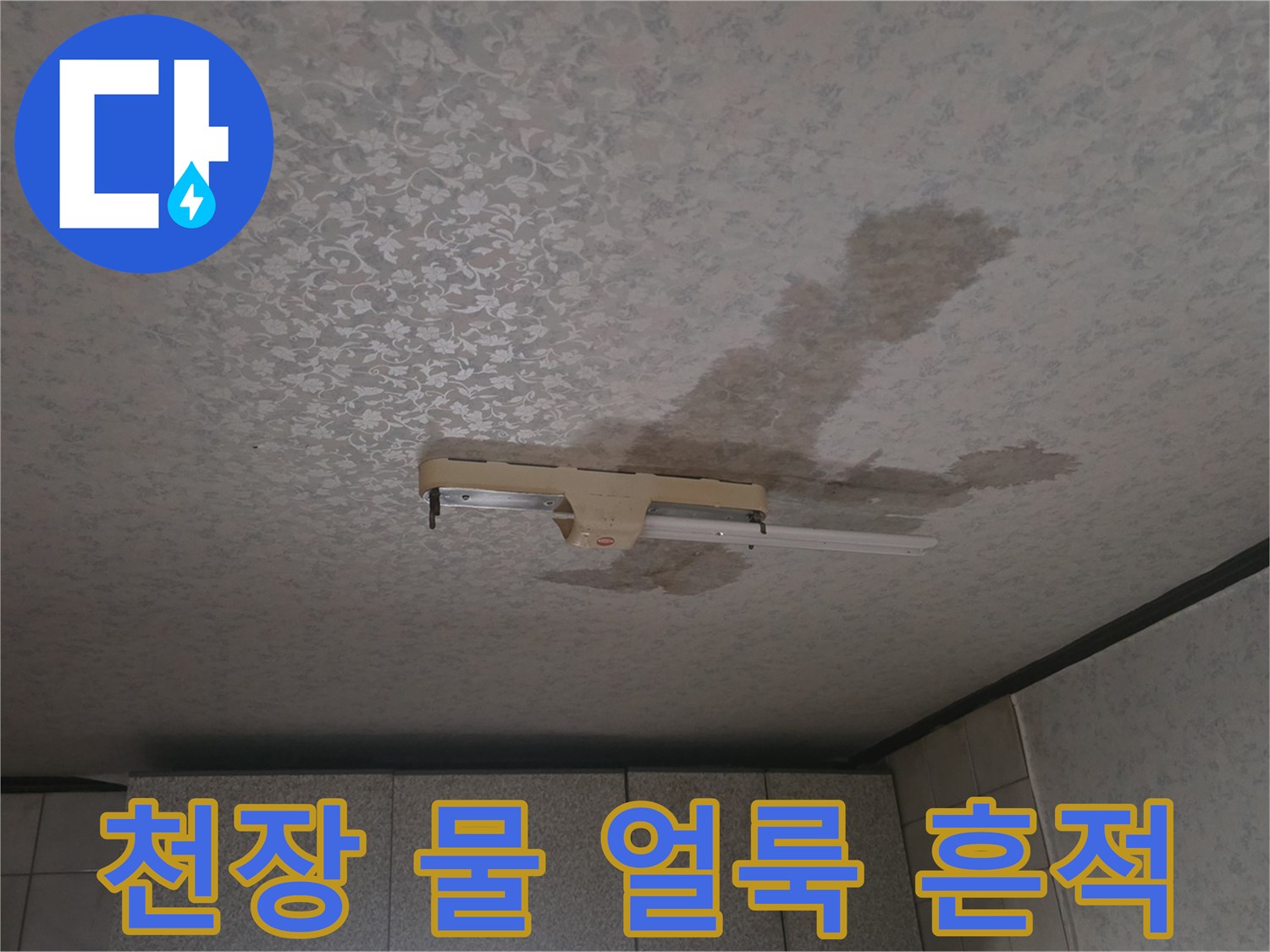 중랑구 주택 천장의 넓은 물 얼룩과 습기 흔적