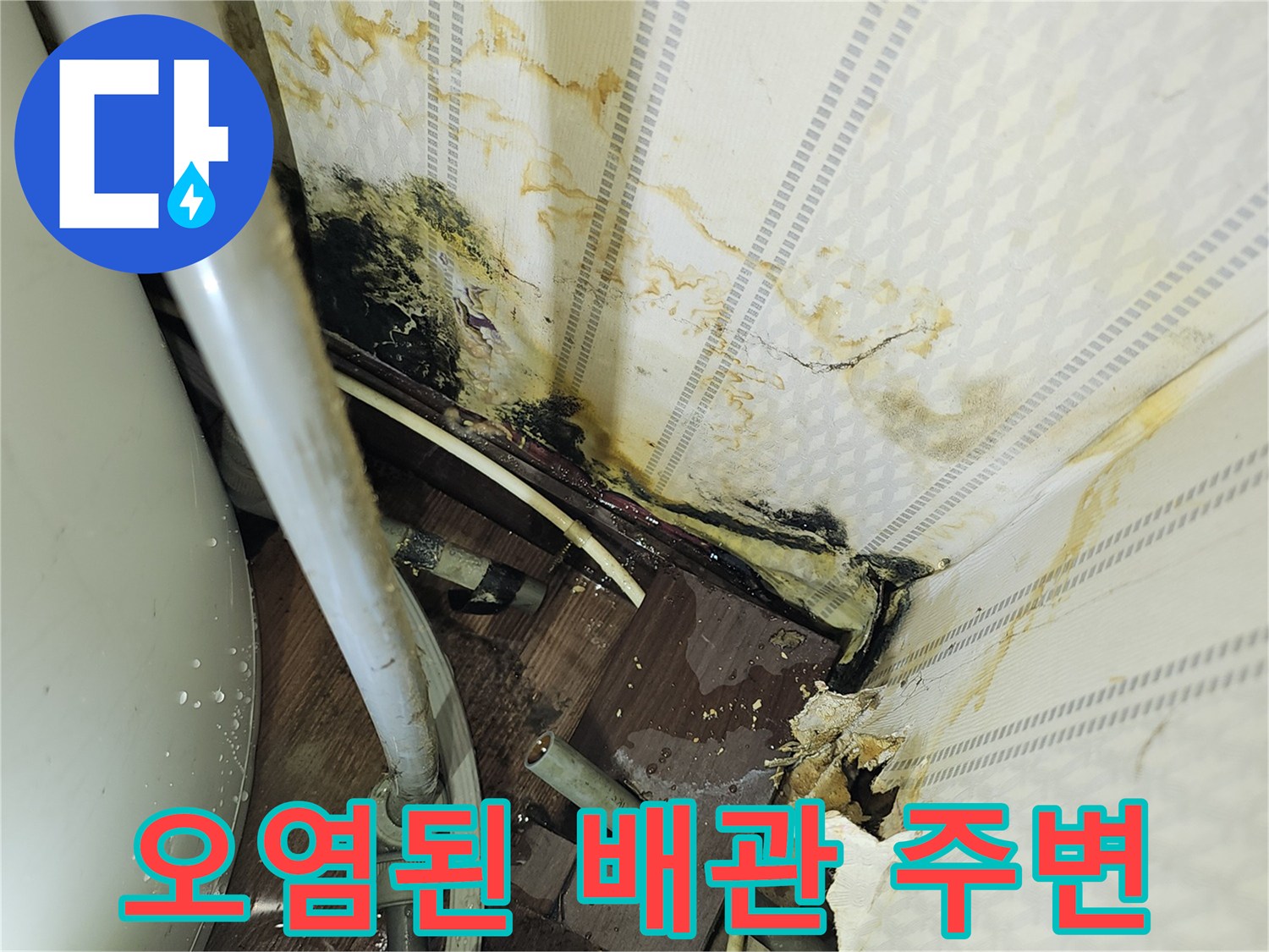 배관-연결-부위의-물샘-및-벽지-변색-상태