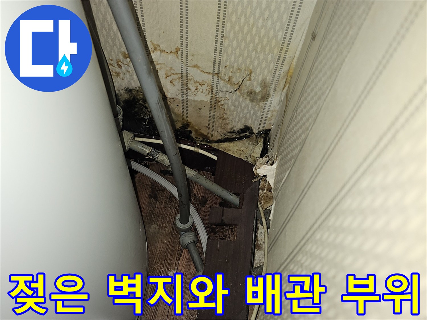 배관-주변-벽지-오염과-습기-머금은-상태