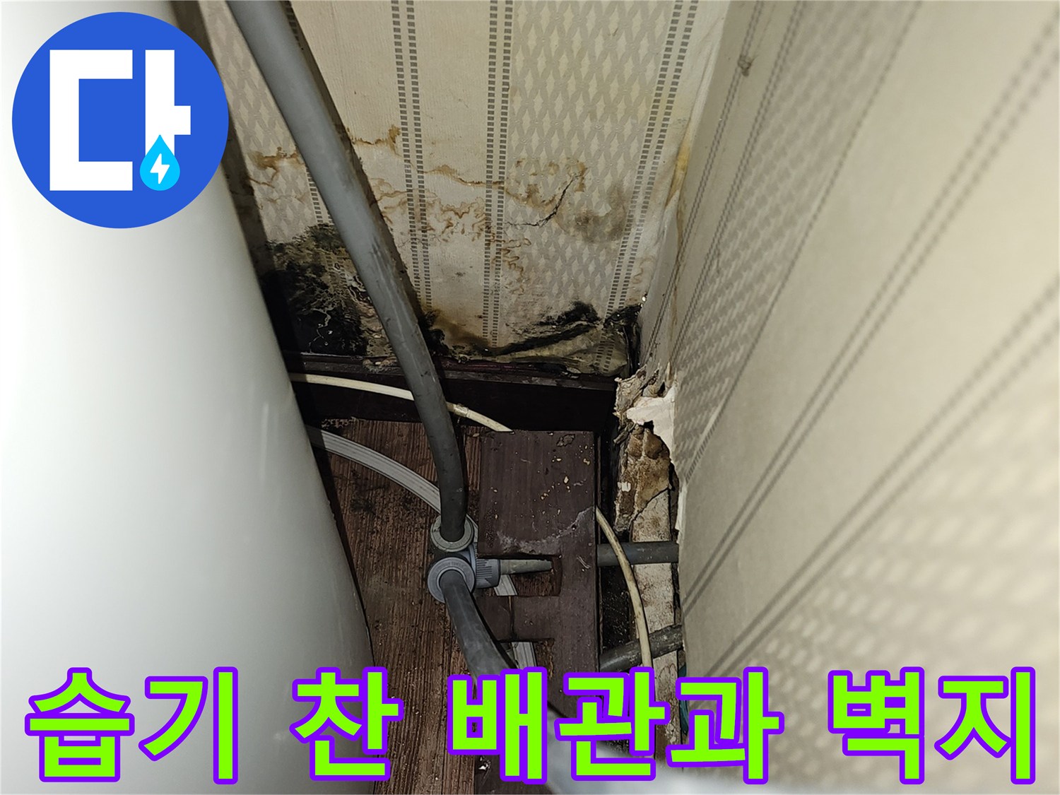 배관-주변의-심한-습기와-벽지-얼룩