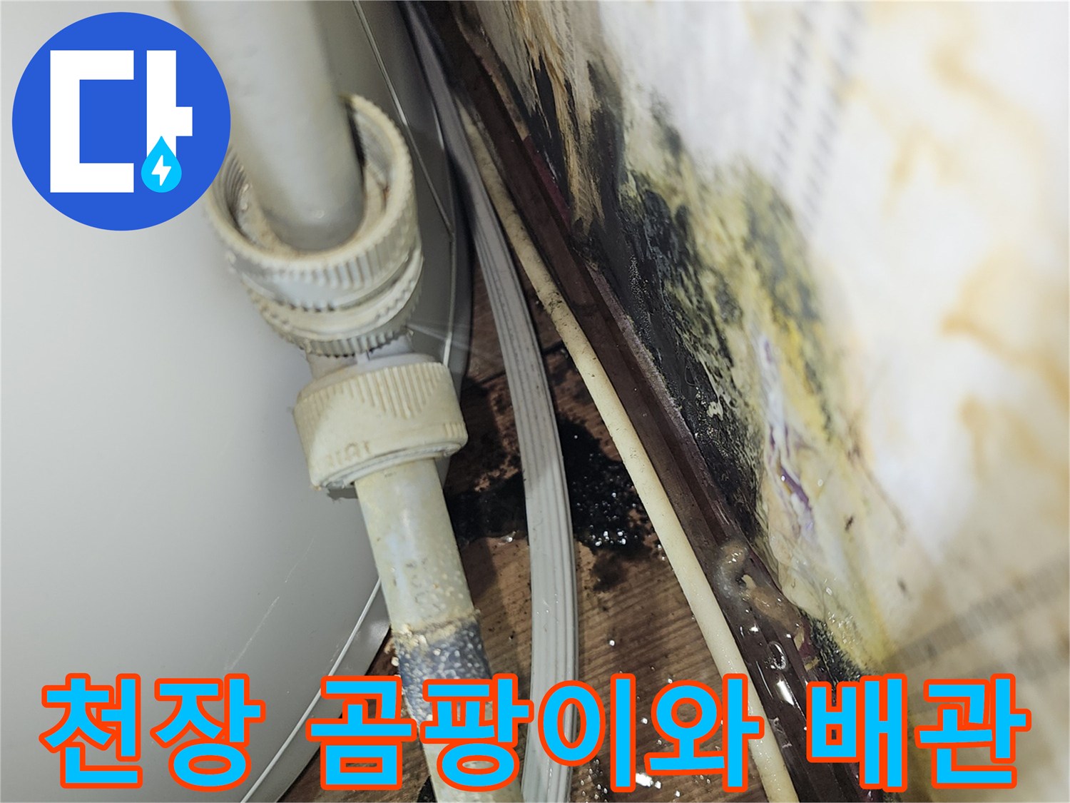 영등<0xA0>여의도 상가 천장 배관 주변의 곰팡이와 물자국