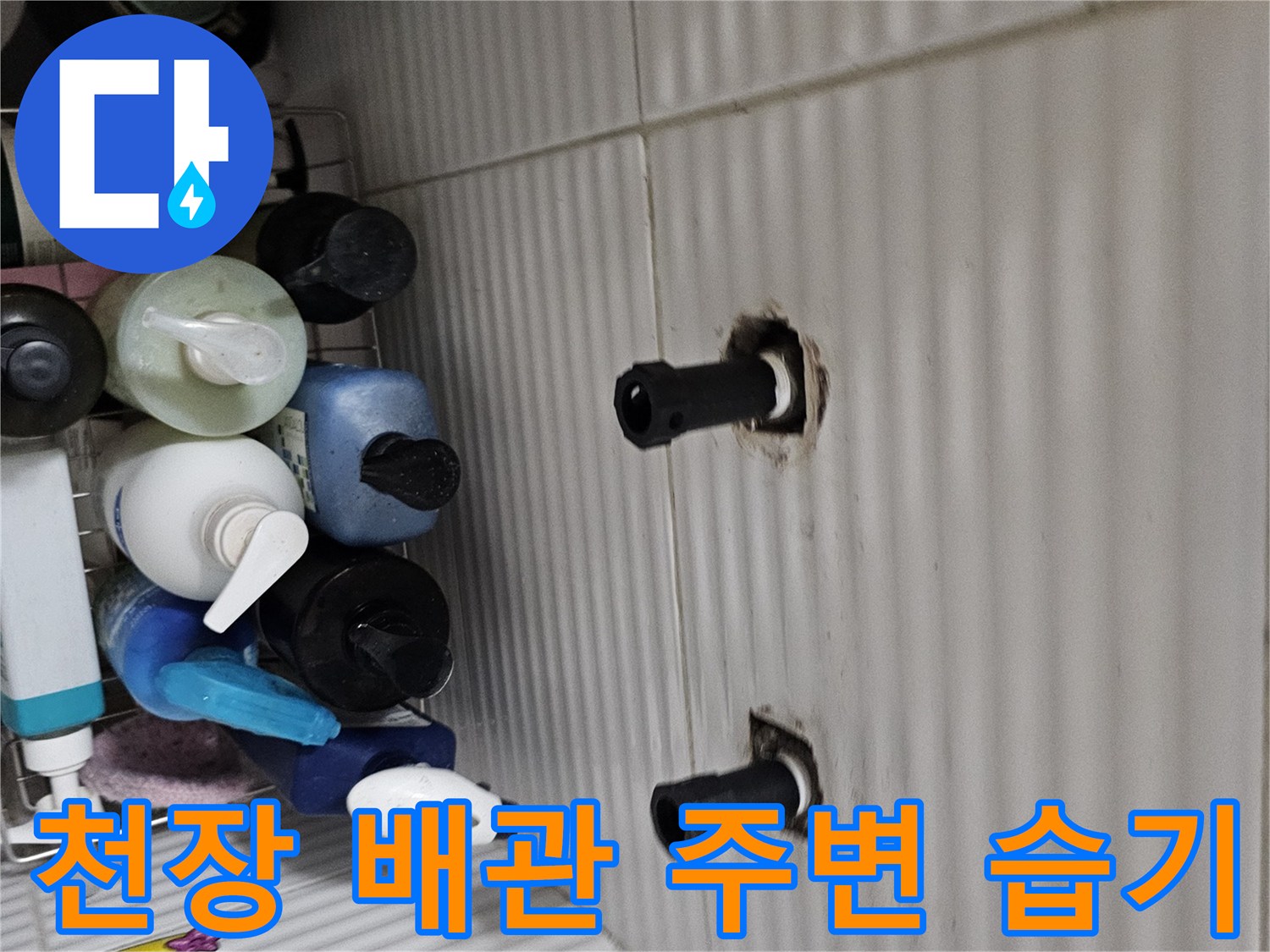 화장/실/천/장/배/관/주/변/물/번/짐/흔/적