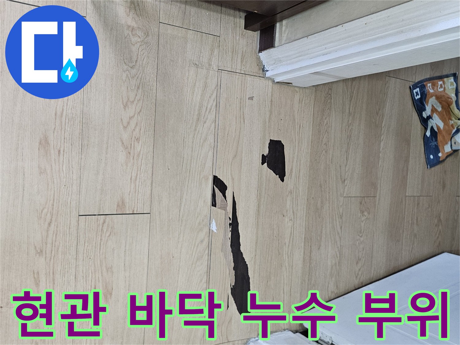 검게 변색되어 물이 스며든 현관 마루 사진