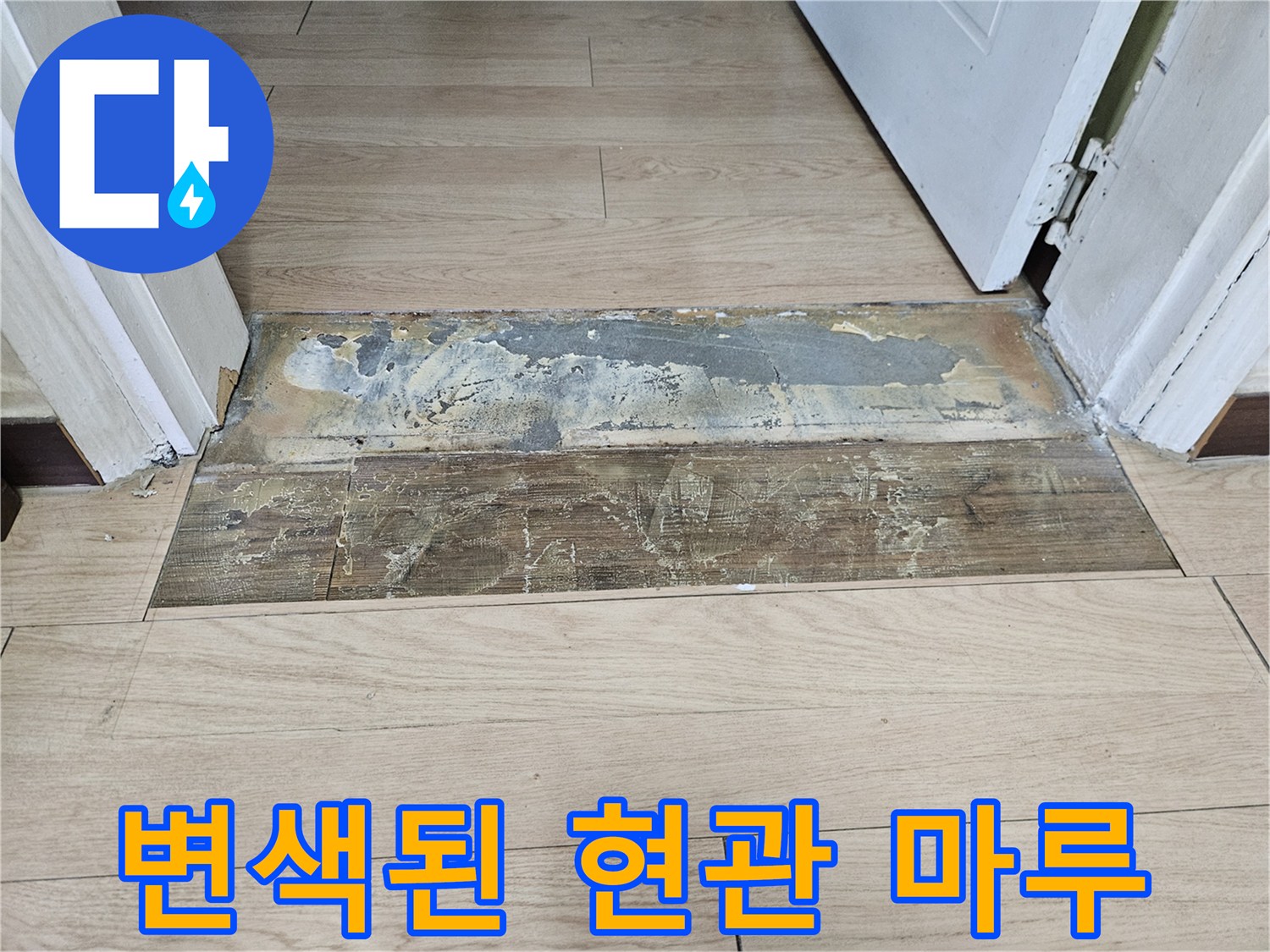 수분이 침투하여 변색이 진행된 마루 자재 사진