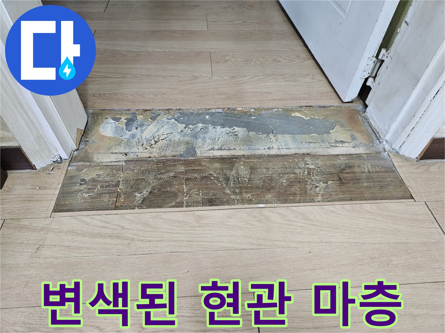 양천구 현관 입구-습기로 인해 오염된 마루 바닥재