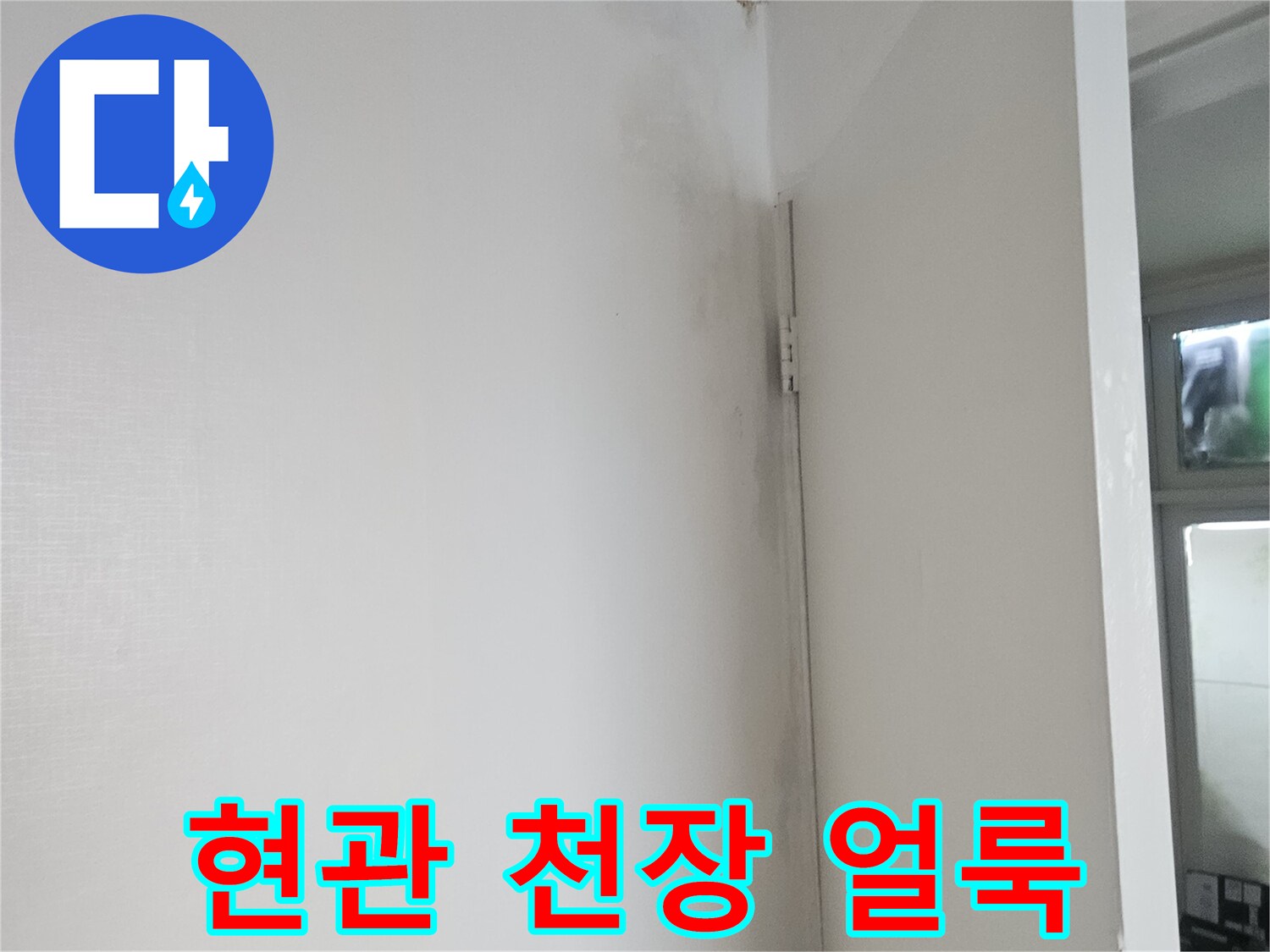 양천구 현관 천장 벽면의 물샘 흔적 사진
