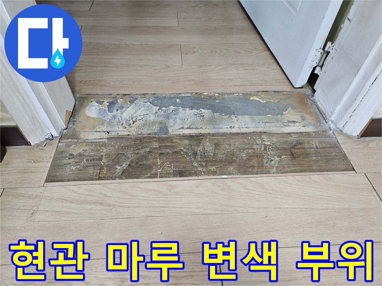 현관 입구 마루의 습기로 인한 변색과 들뜸 현상