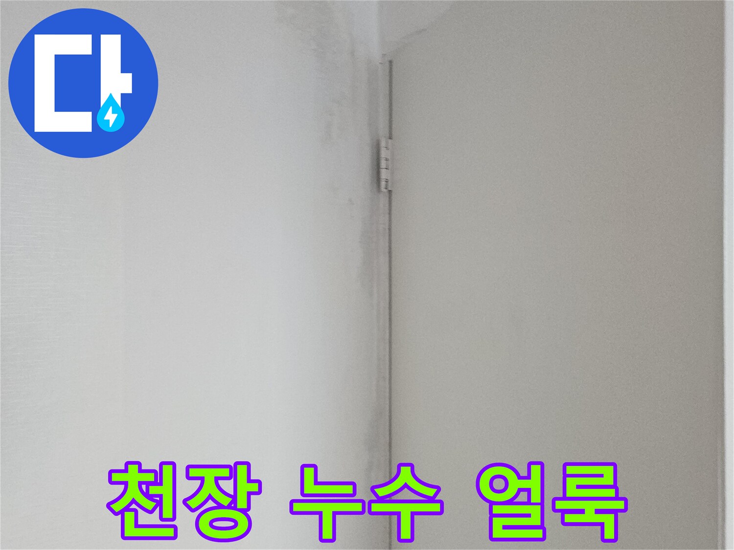 현관 천장 부위의 넓은 습기 침투 흔적을 촬영한 사진입니다.