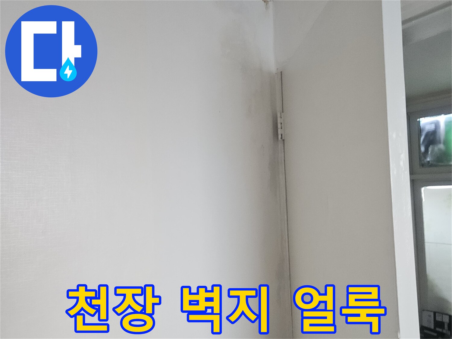 현관 천장 하단부의 젖은 듯한 변색 상태
