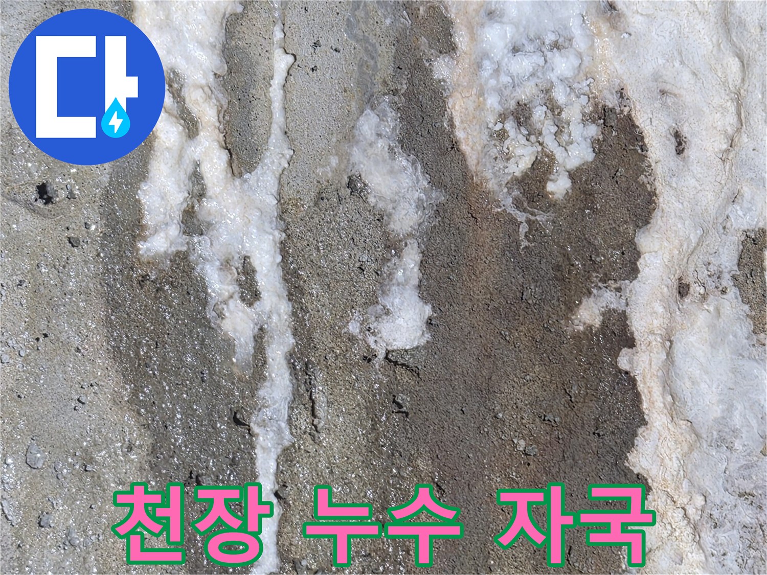 누수가-진행된-천장-슬라브의-하얀-흔적