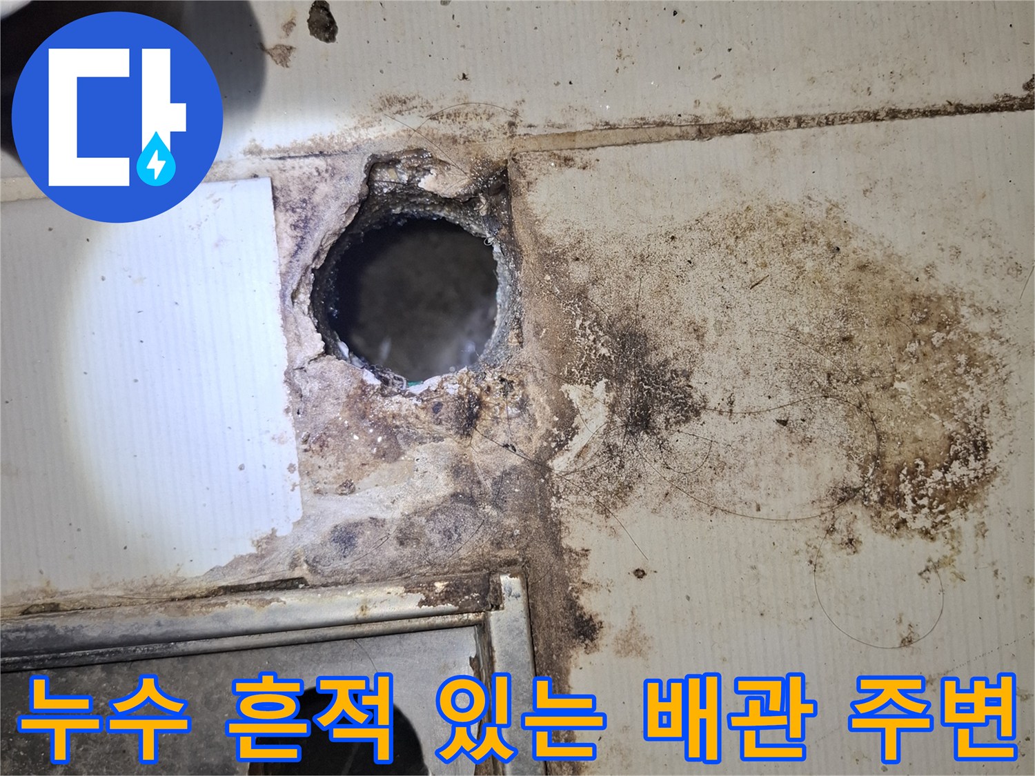 타일 틈새를 통해 관찰된 오염된 배관 주변 환경