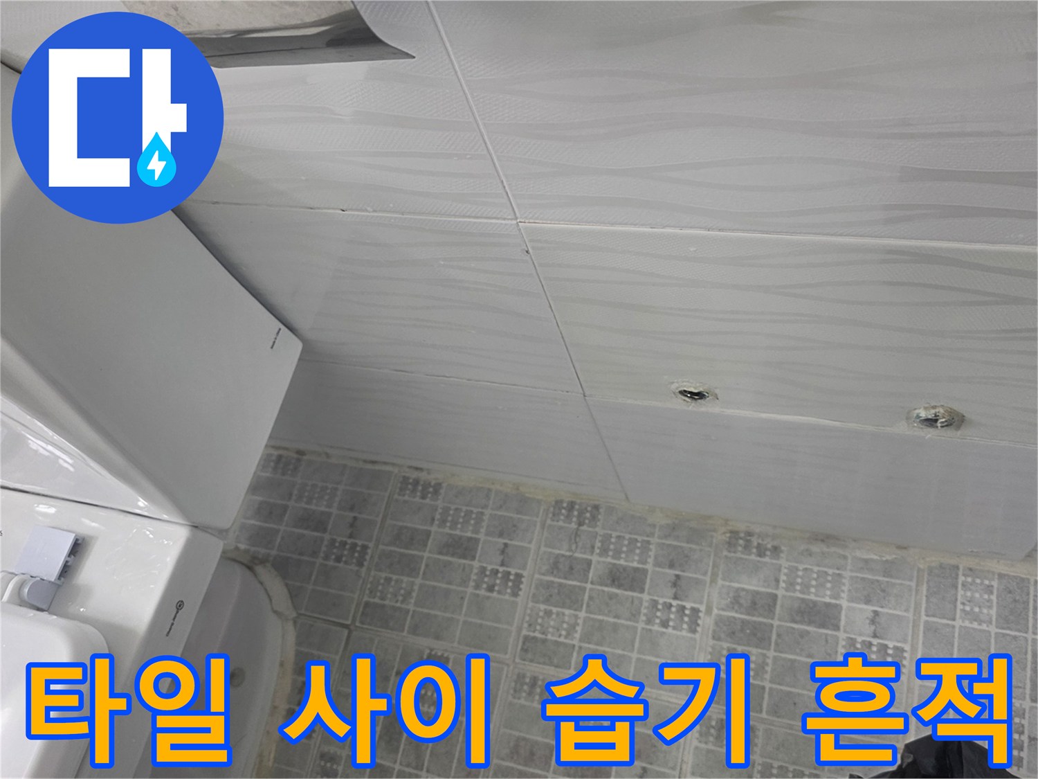 변기 하단 타일 틈새에 물이 고여 있는 듯한 현장 사진