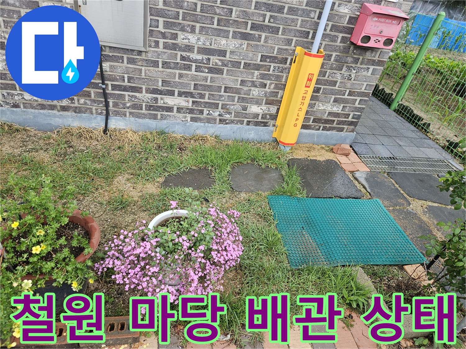 철원 김화읍-마당 외부 수도 배관 주변 현장 모습