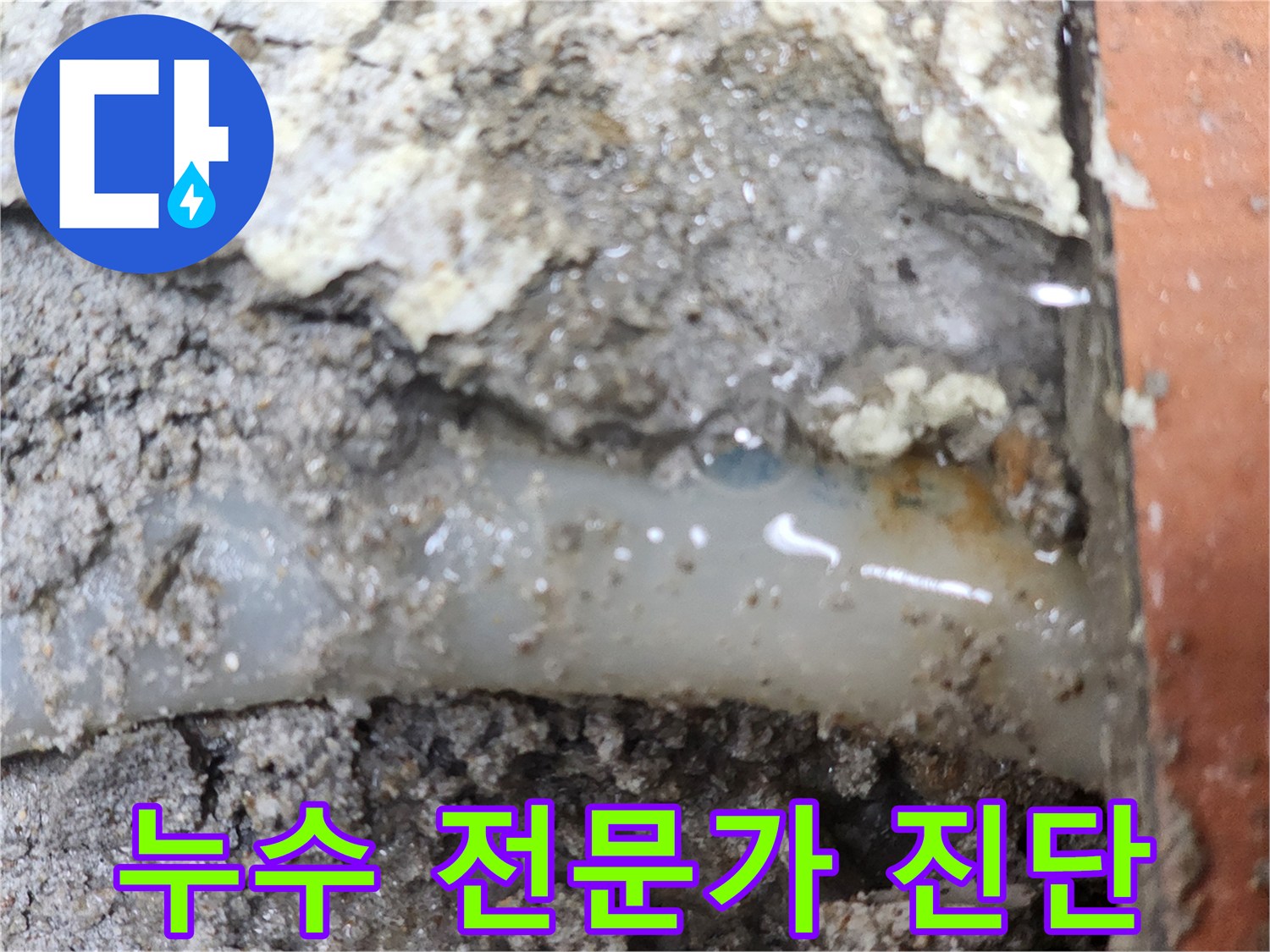 누수-전문가가-정밀-진단으로-누수-지점을-확인한-현장입니다