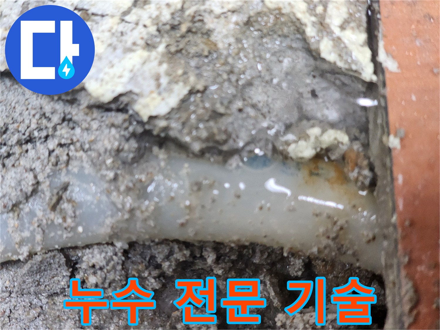 누수-전문가가-최첨단-기술로-누수-지점을-확인한-현장입니다