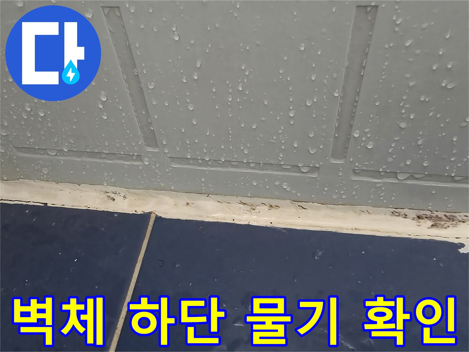 동두천-욕실-벽면-하부-타일-젖음-상태-촬영