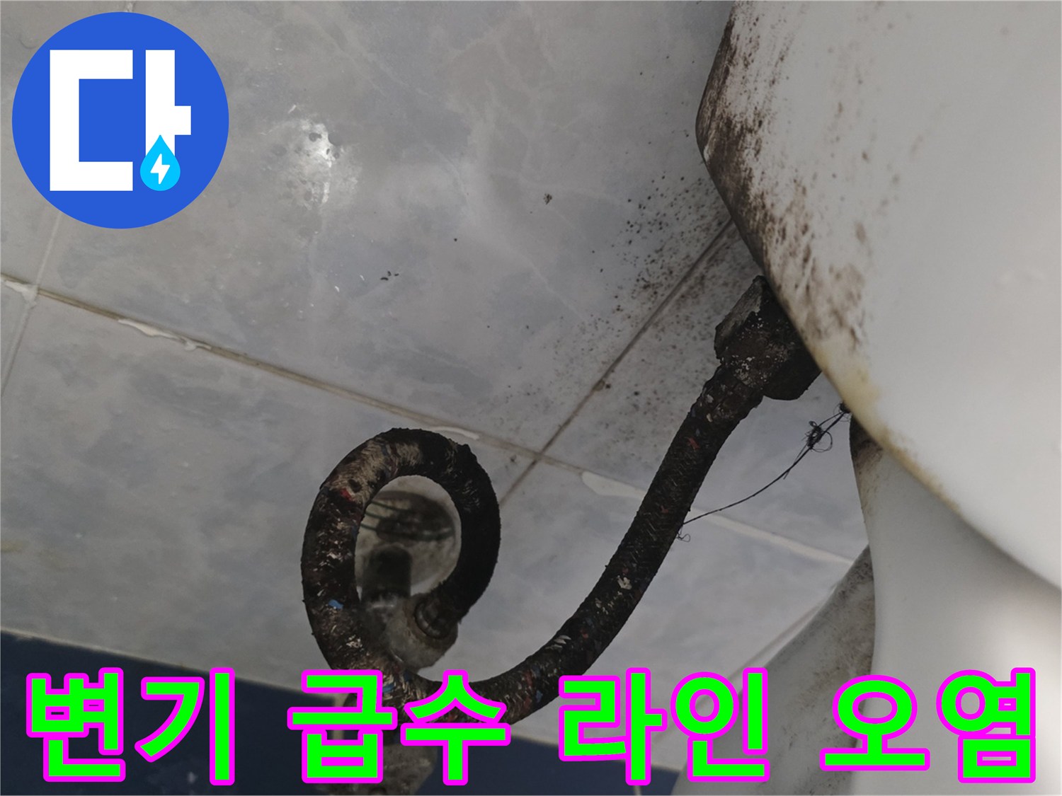 변기-하단-급수-호스-주변-오염-확인