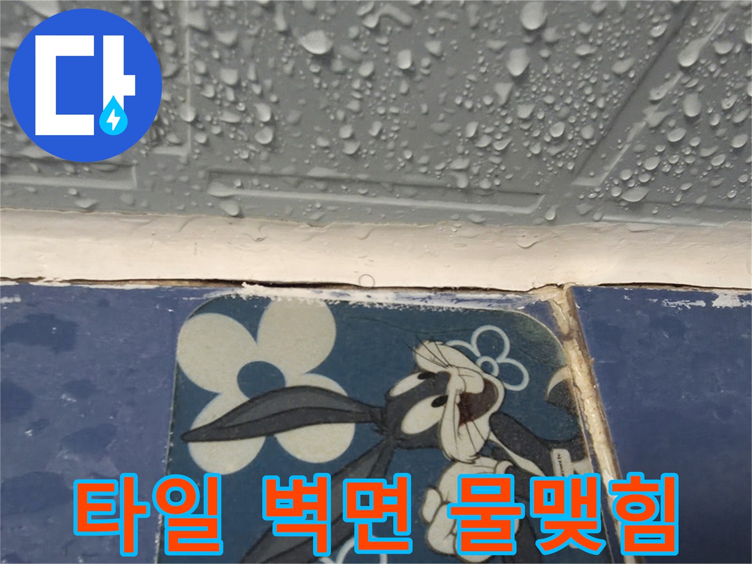 욕실-벽면 타일에 맺힌 습기 현상