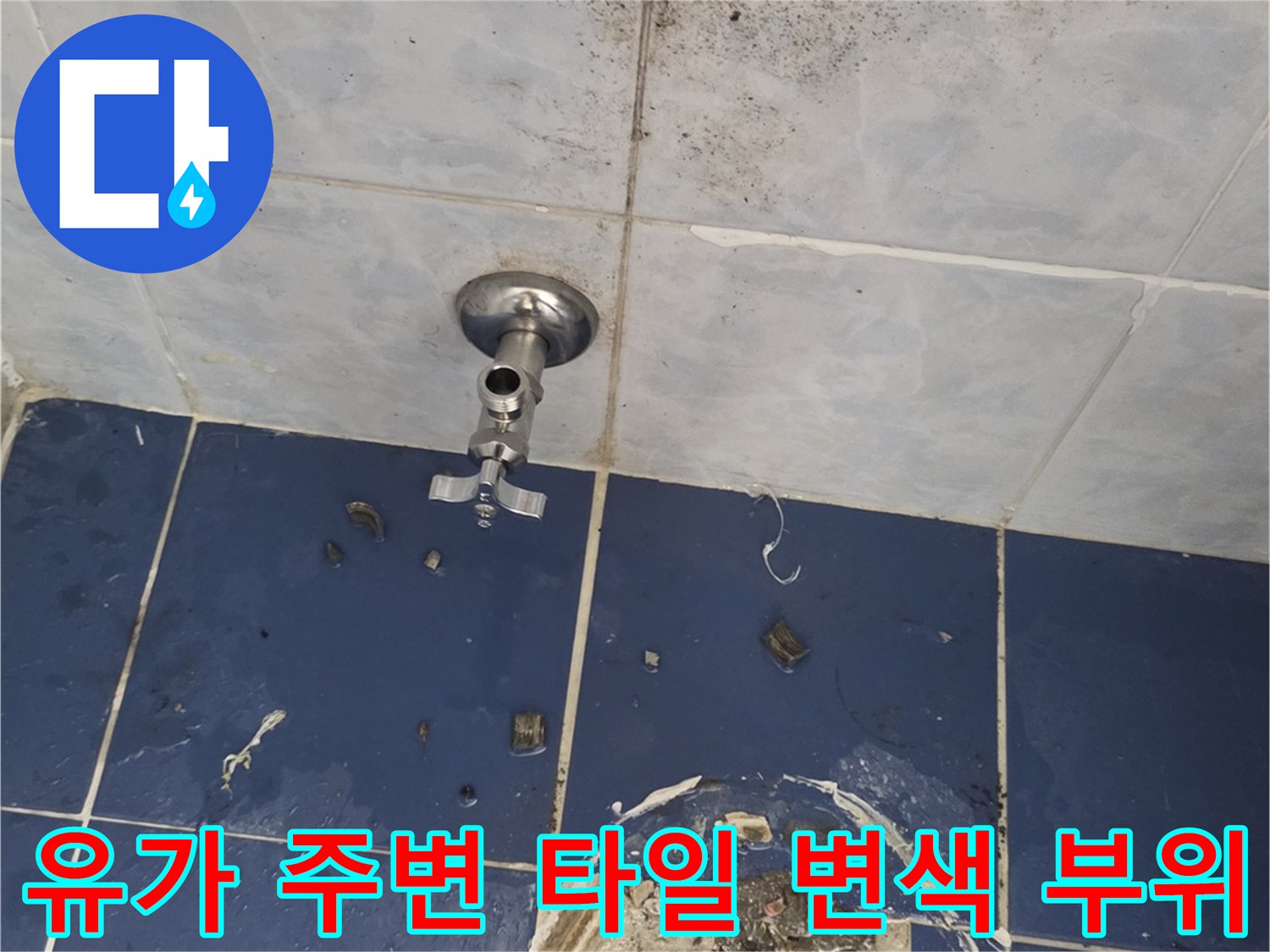화장실-배수구-주변-오염된-타일-표면