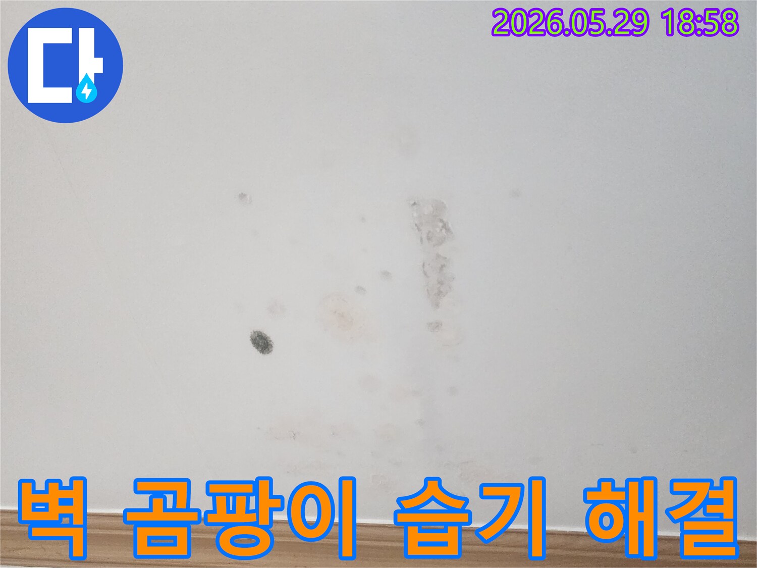 벽면에-발생한-곰팡이와-습기를-해결하기-위한-누수-탐지-과정을-보여줍니다