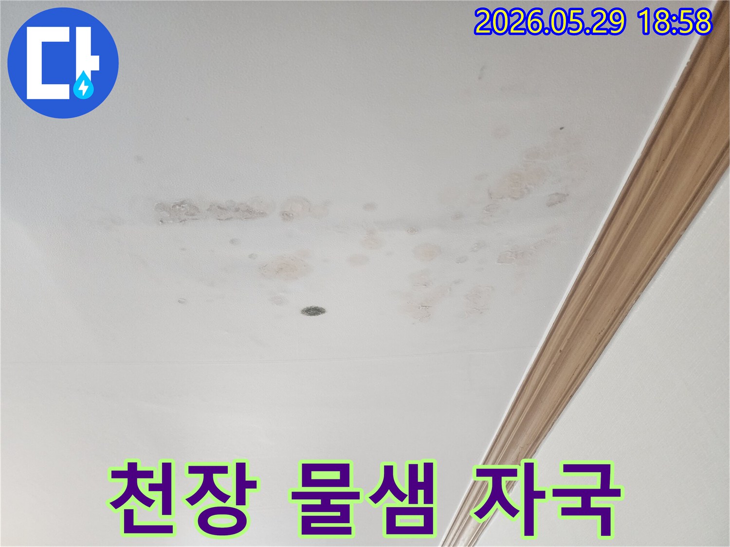 아파트-천장에-발생한-누수로-인한-곰팡이-및-오염-현상입니다.