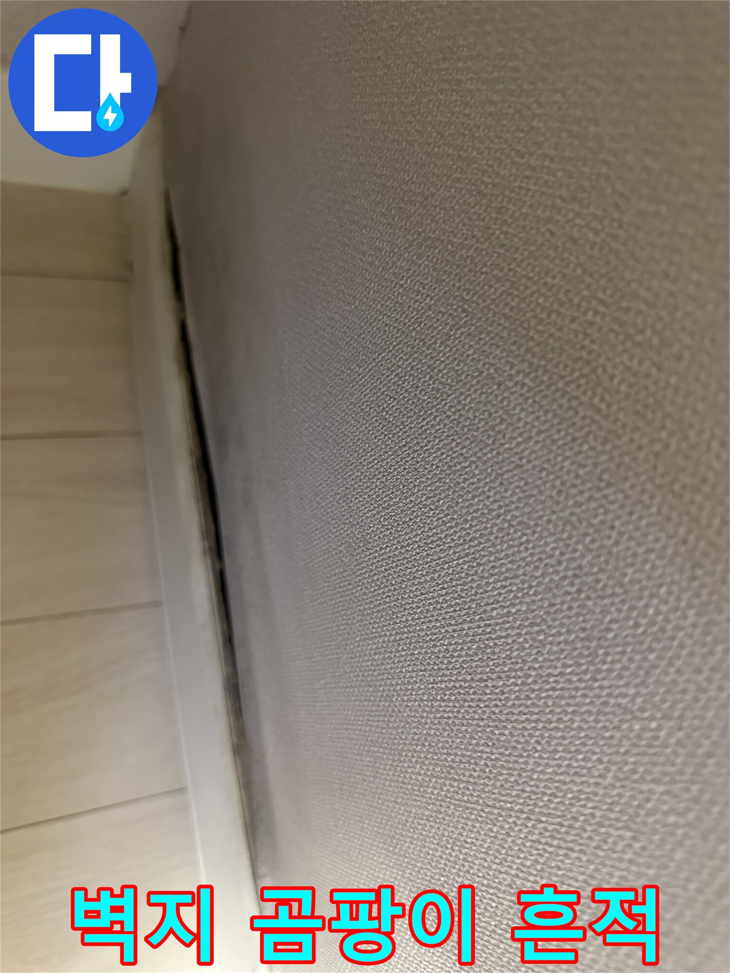 벽지 가장자리를 따라 번진 곰팡이와 습기 흔적입니다.