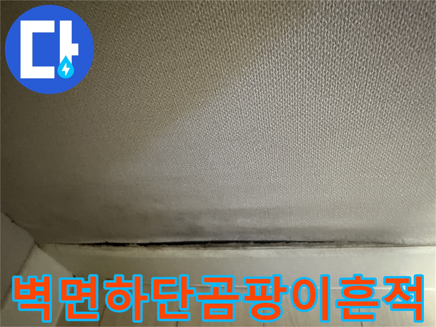 아파트-벽지-하단부-곰팡이-및-변색-부위-확인