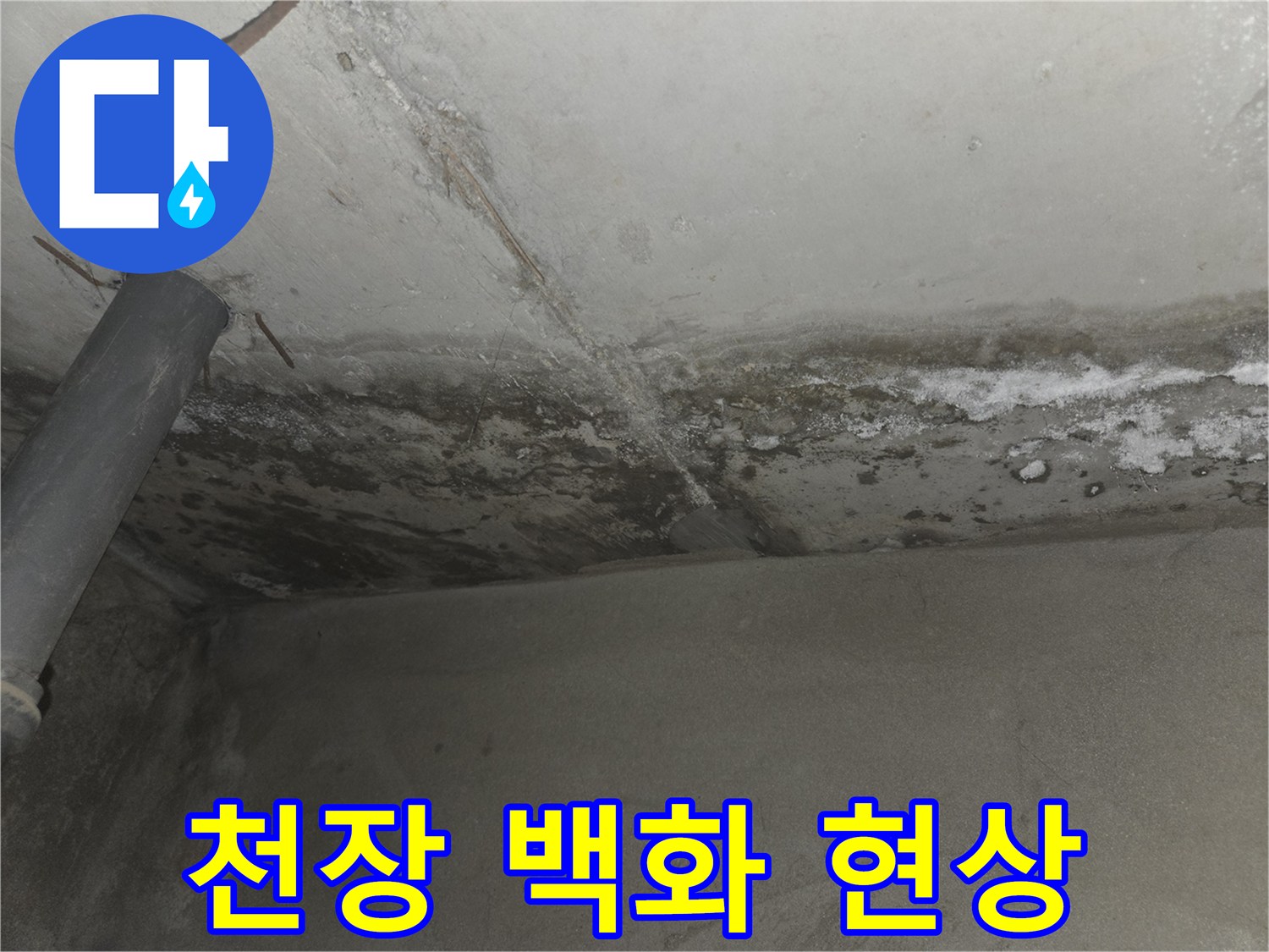 천장 마감재 부위의-하얀색-백화 및 물샘 흔적