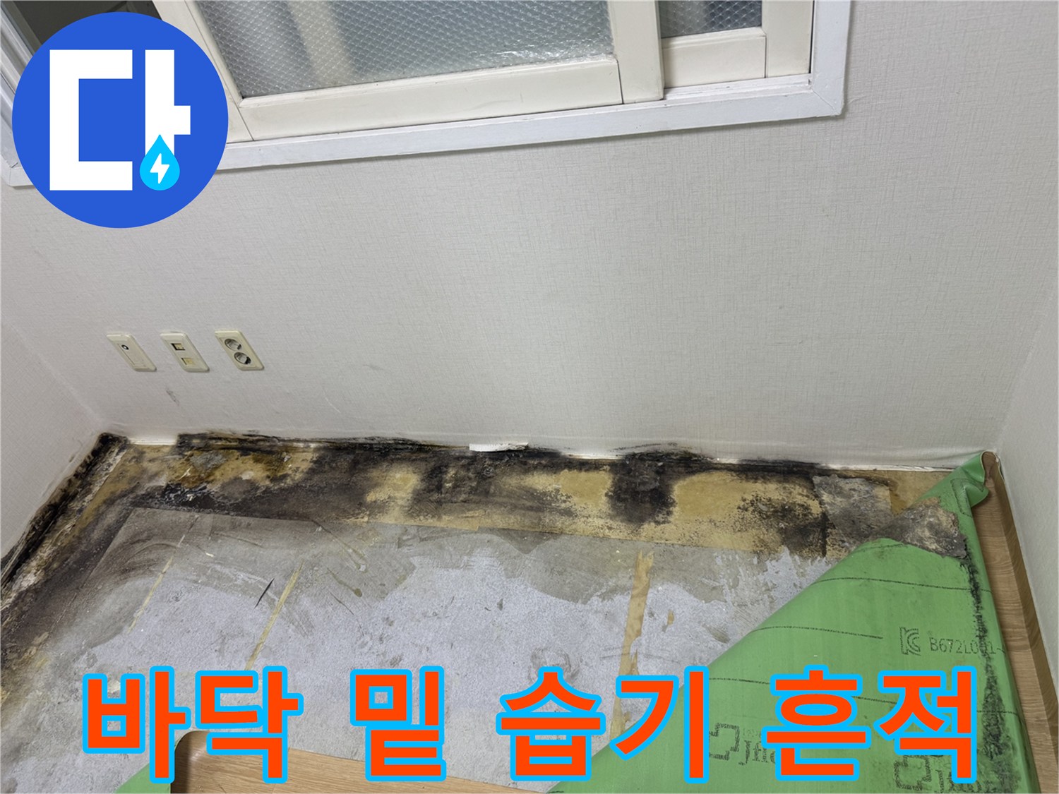 바닥재 아래 드러난 콘크리트-습기와 곰팡이가 동반된 상태