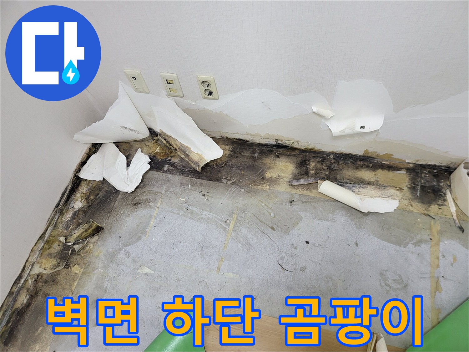 콘센트 주변의-심한 곰팡이 오염