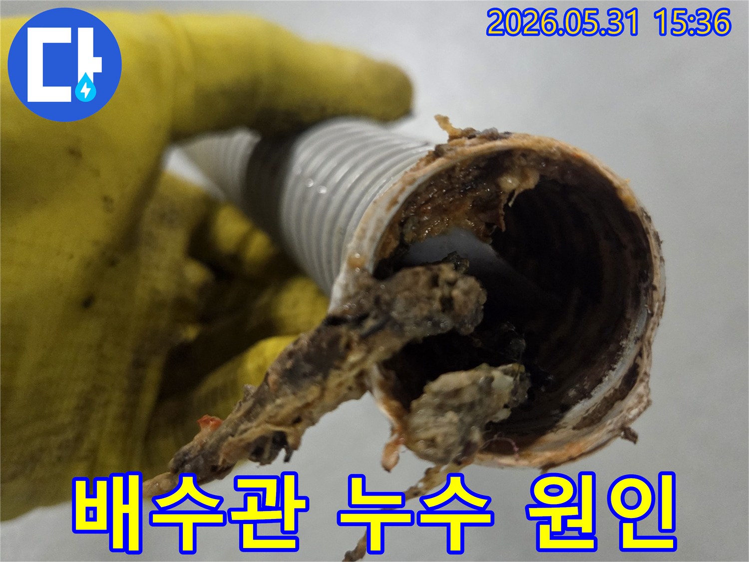 오랜 기간-쌓인 음식물 찌꺼기로-부식되어-누수를 유발한-싱크대 주름호스