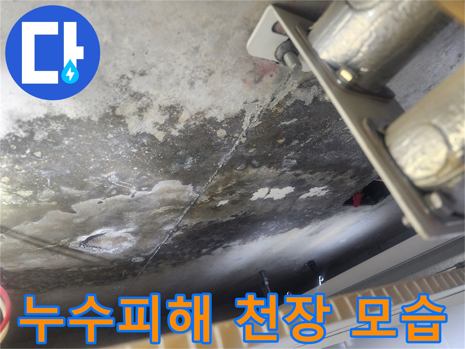 누수 전문가가 촬영한-아랫집 천장의-물기 흔적과 곰팡이 모습