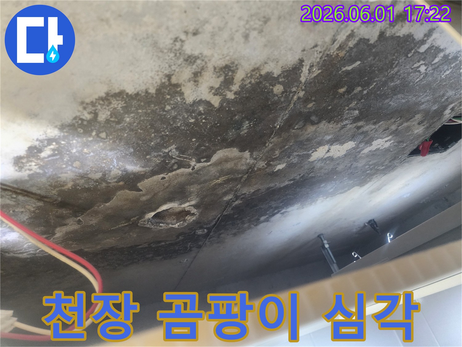 천장 콘크리트 표면에-심한 물자국과-검은 곰팡이가-번식한 모습으로-누수 피해의-심각성을 보여줍니다.