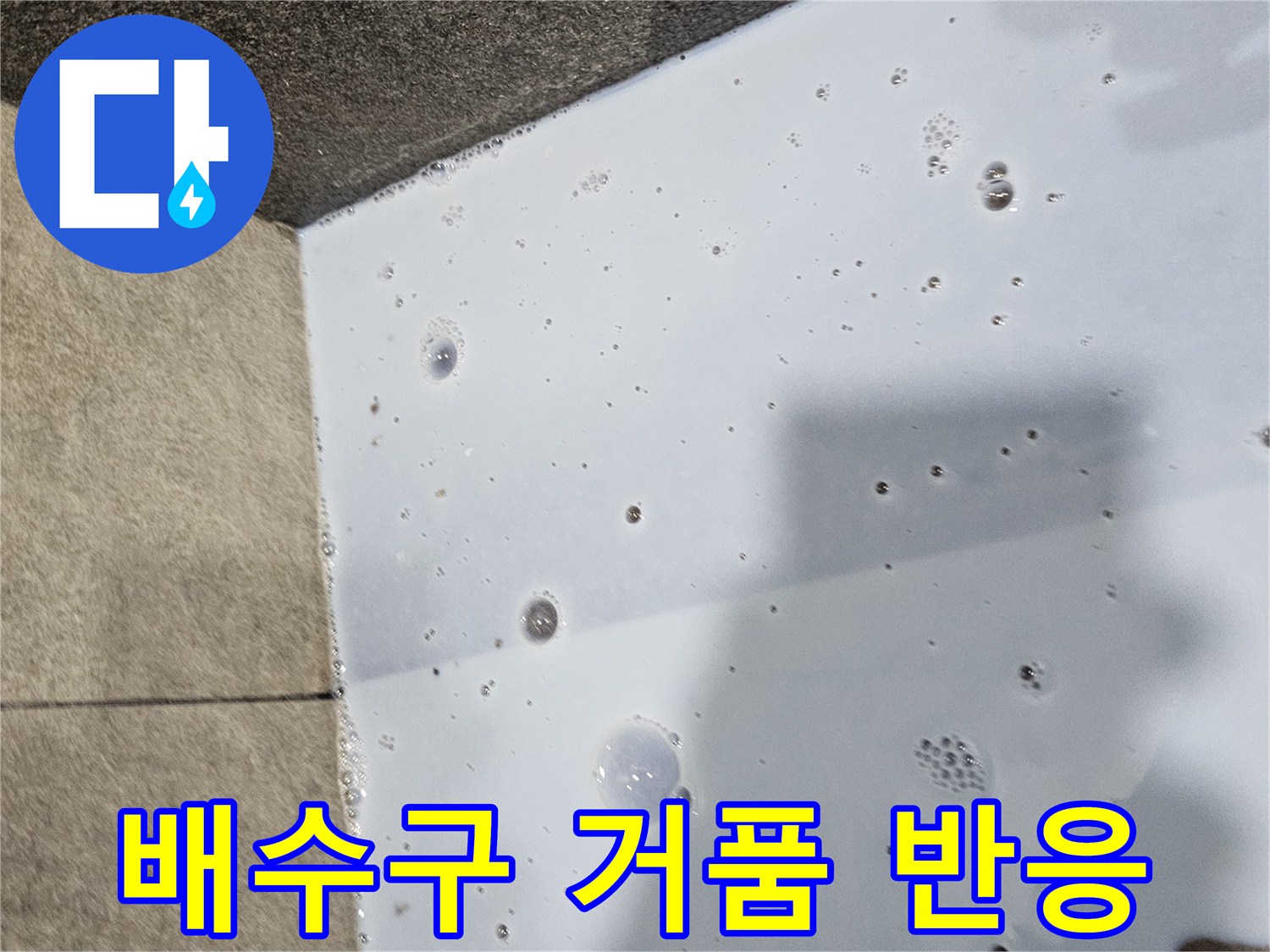 화장/실/배수구/주변/거품/반응/확인