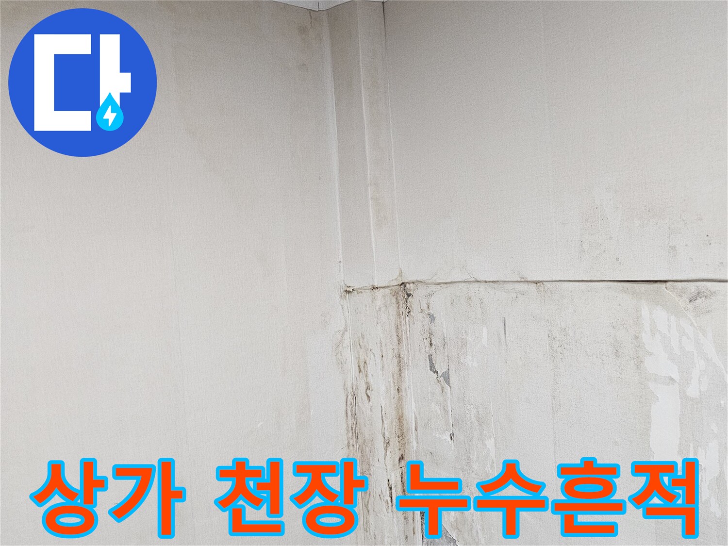상가-내부-천장-누수-피해-증상