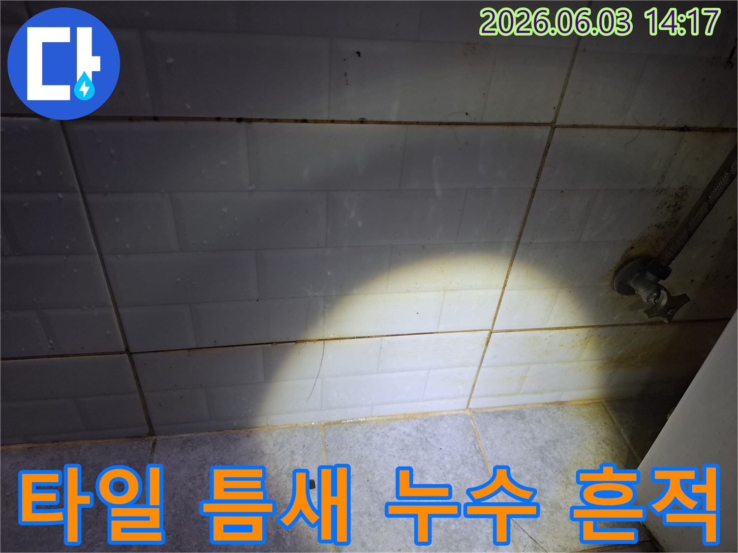 아파트-욕실-타일-틈새-누수-흔적-발견-전문가-진단-시작