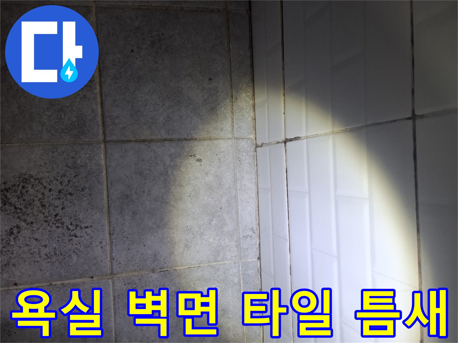 욕실-벽면-하단부-타일-사이-벌어진-틈새-모습