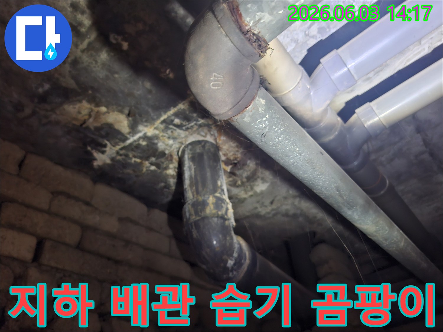 지하 배관 주변에 만연한 습기와-그로 인해 번식한 곰팡이를-누수 진단을 위해 촬영한 현장 사진