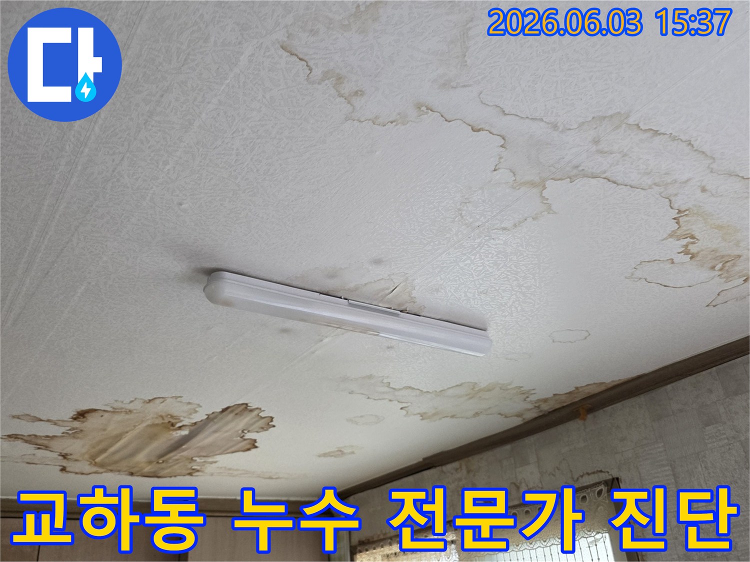 파주 교하동 주택-천장 누수 현장을 꼼꼼하게 진단하는-누수 전문가의 모습