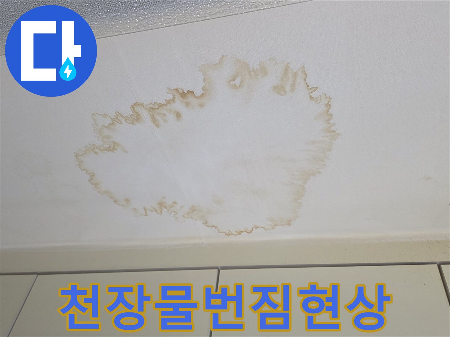 주방 천장 마감재의 갈색 누수 얼룩 부위
