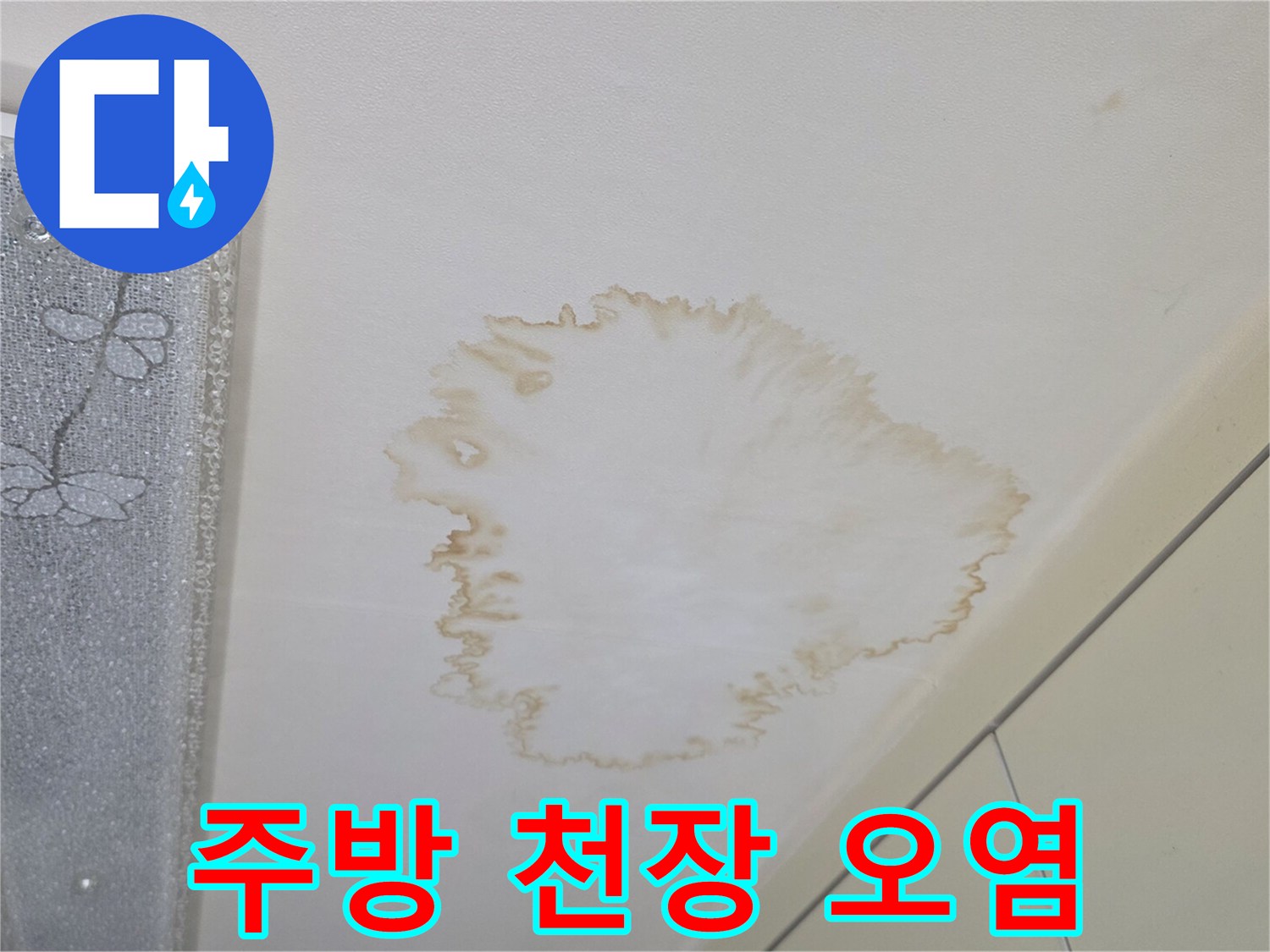 천장 도배지가 젖어 변색된 모습