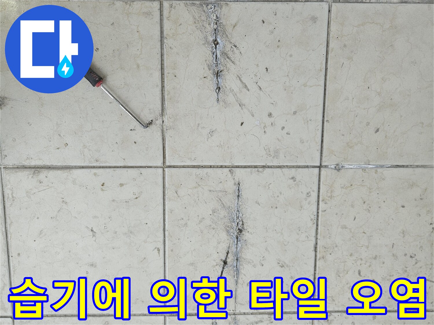 균열된 타일 틈새로 스며든 물자국과 변색 부위