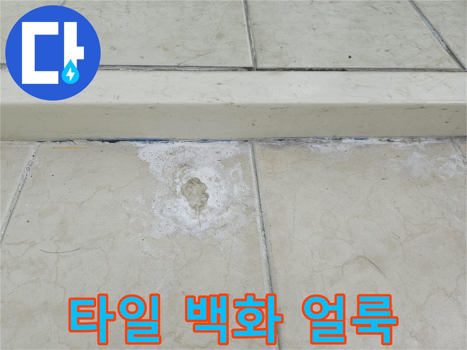 습기가-배어-나온-타일-표면의-백화-증상