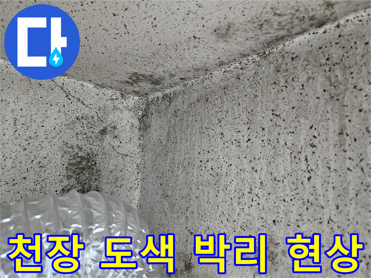 습기로 인해 도색이 벗겨지고 변색된 천장 부위