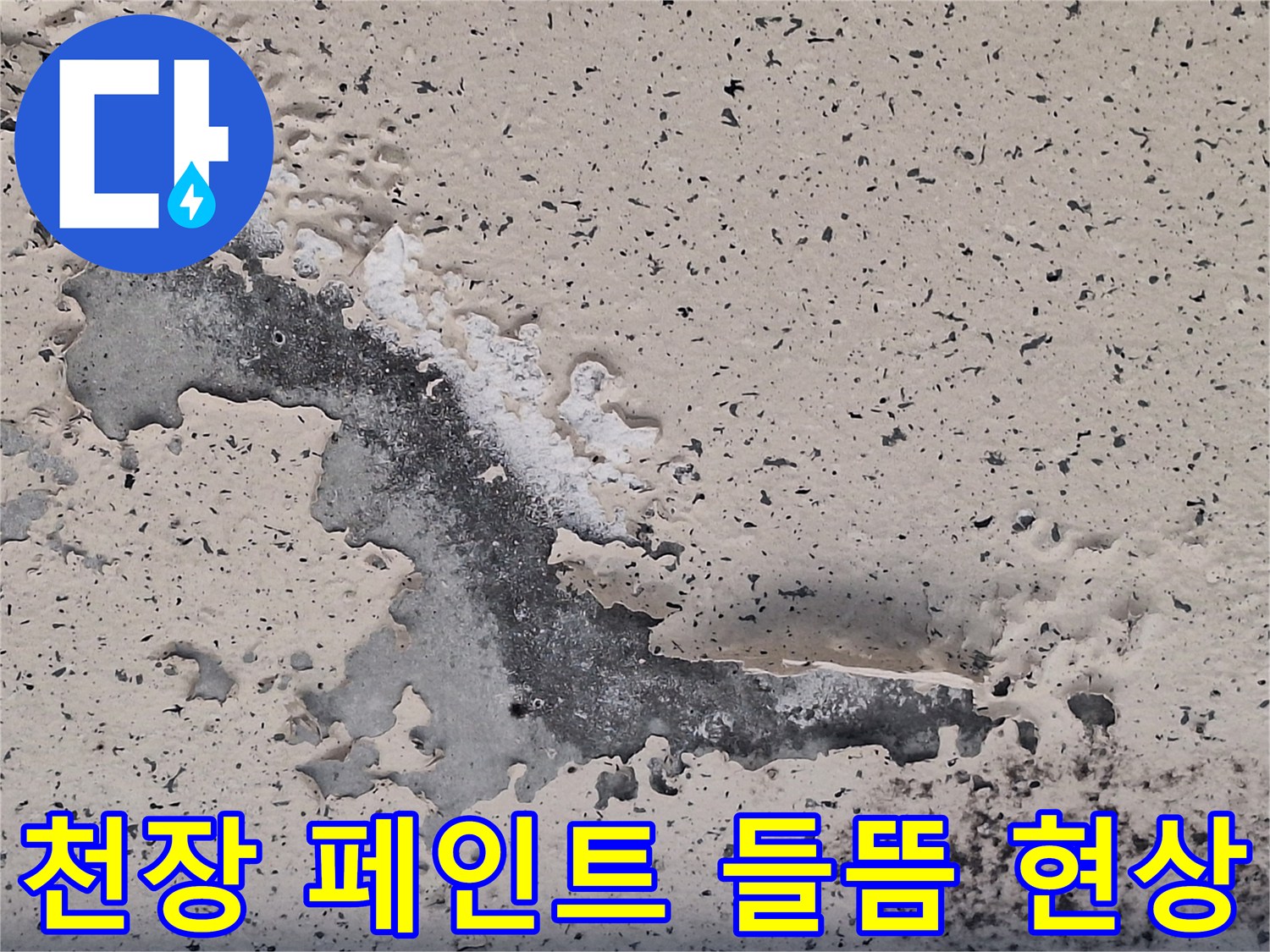 습기로 인해 천장 도료가 벗겨지고 있는 현장 사진입니다.
