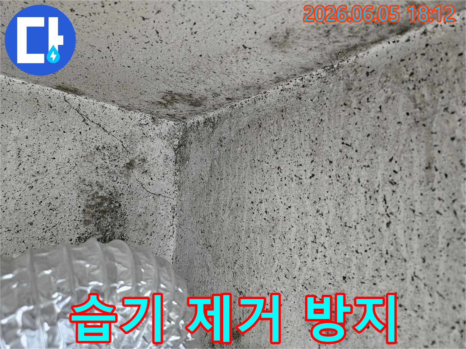 습한-환경에서-발생한-벽면-모서리의-곰팡이-증식-상태