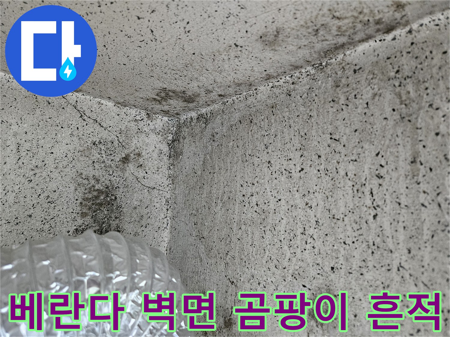 양주 아파트 베란다-벽면 곰팡이와 얼룩 상태